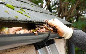 gutter cleaning Parkhill
